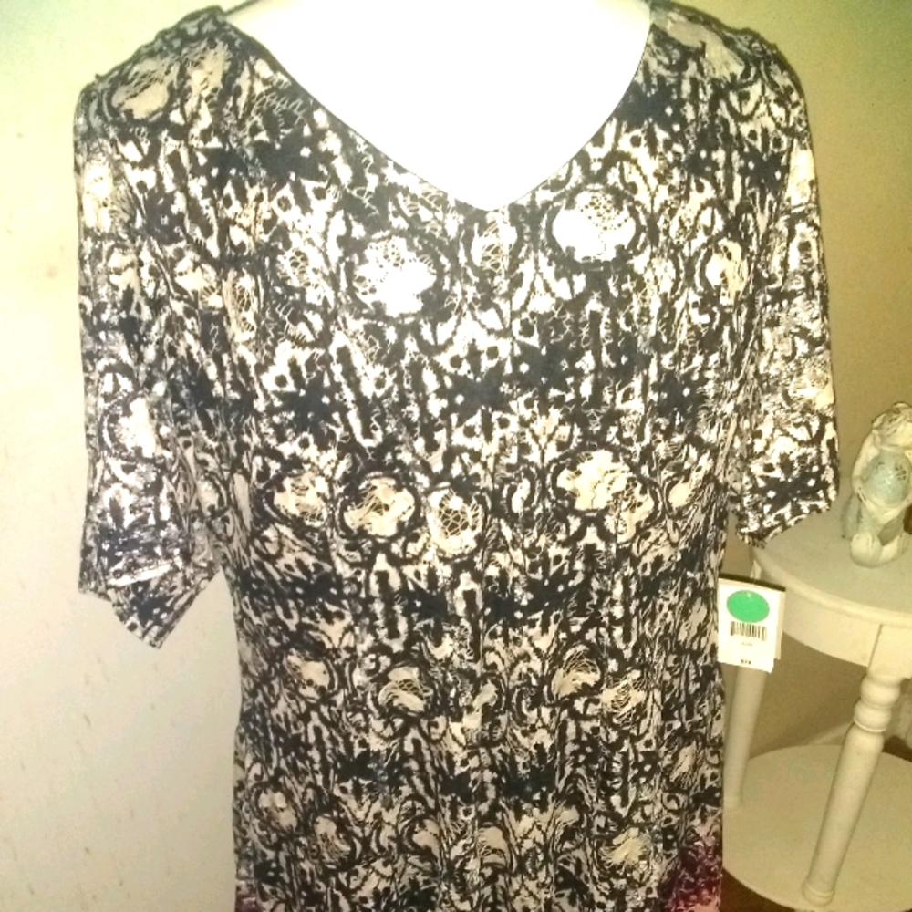 danny and nicole Size 22W Dress
